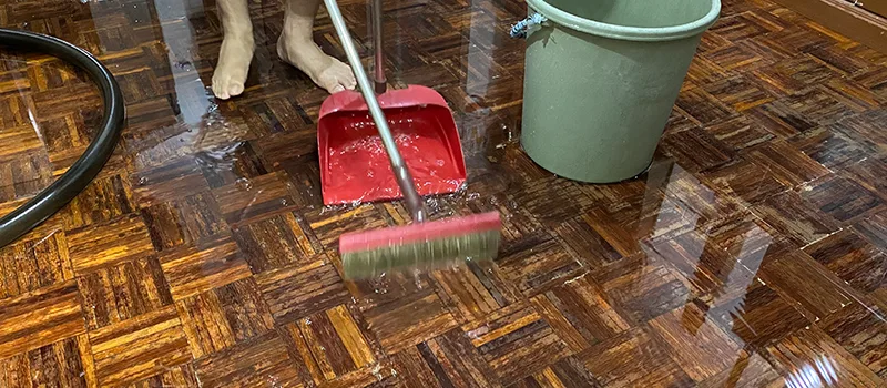 Water Removal And Restoration Services in Bramlea, Brampton