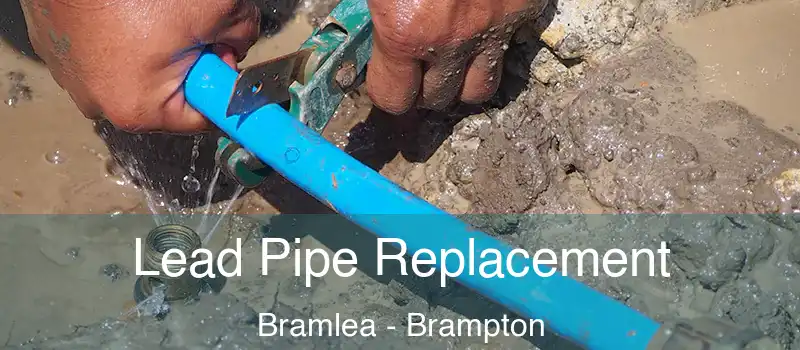 Lead Pipe Replacement Bramlea - Brampton