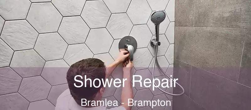 Shower Repair Bramlea - Brampton