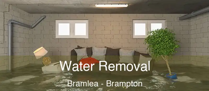Water Removal Bramlea - Brampton